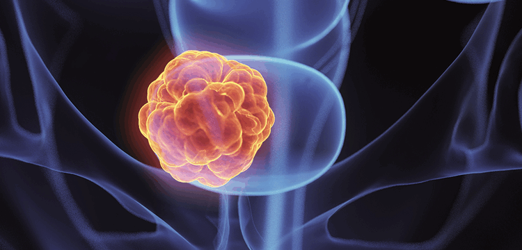 media_1c078b59ae942afe7ad279b036597d7c60112b6dd