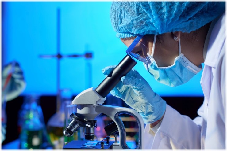 Νέα έρευνα φωτίζει πώς τα κύτταρα προσαρμόζονται με την ηλικία