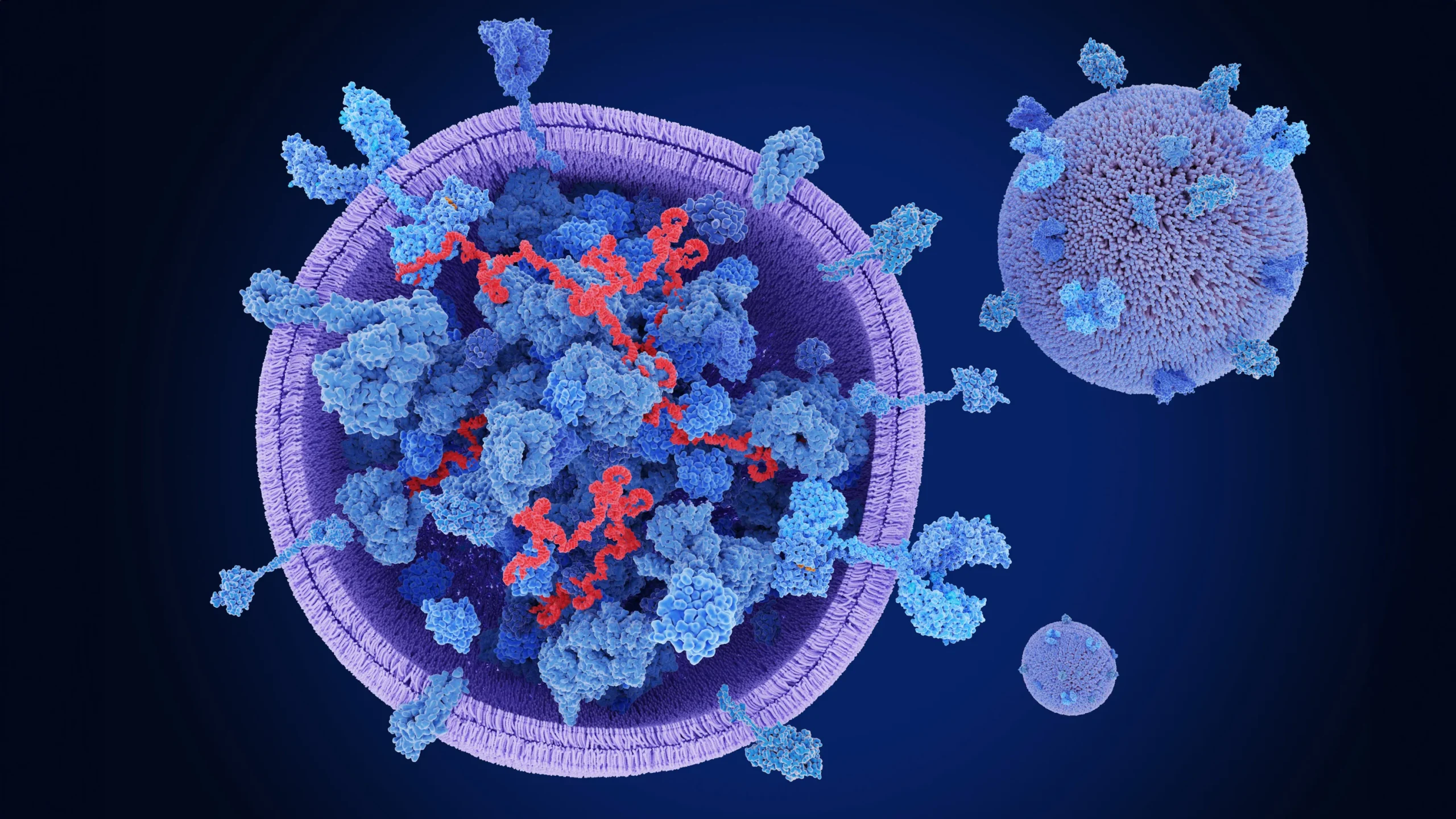 Η νέα γενιά θεραπειών δέρματος: EXOM Exosomes® ενεργοποιεί τη φυσική ανανέωση