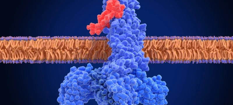 ImageForNews_792455_17283561084301576