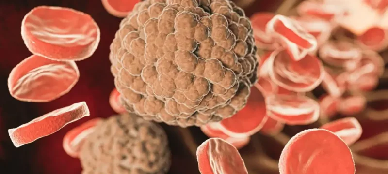 SEP-16661_image_1-1024×683