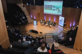 International Conference on Rare Diseases