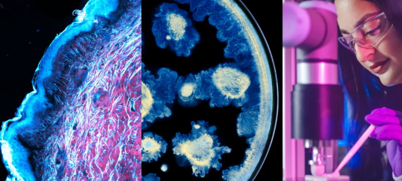 L’Oréal x Institut Pasteur – ©L’OREAL.png