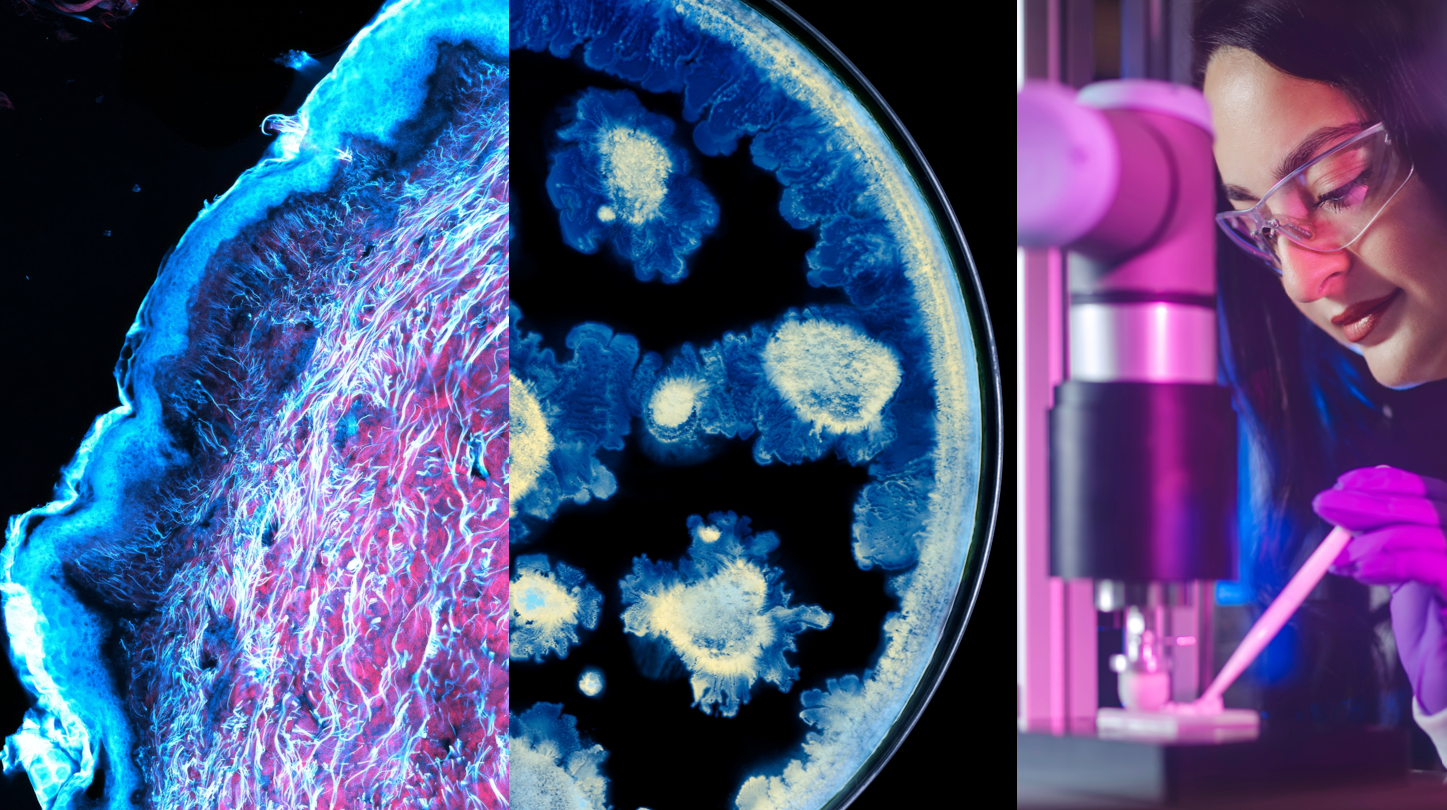 Ιστορική συνεργασία L’Oréal και Institut Pasteur για την υγεία της επιδερμίδας