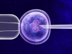 difference-between-ivf-icsi