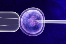 difference-between-ivf-icsi