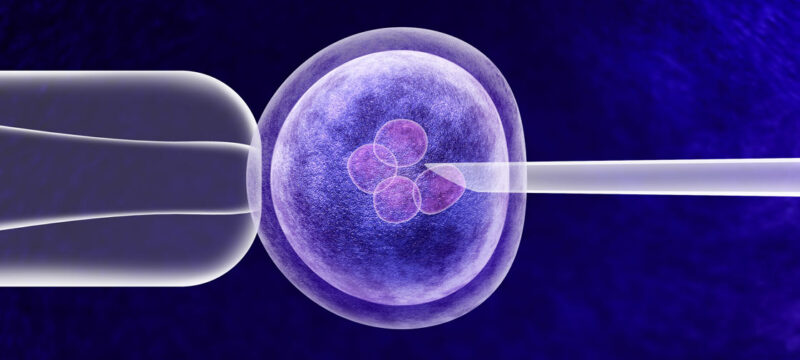 difference-between-ivf-icsi