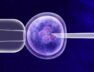 difference-between-ivf-icsi