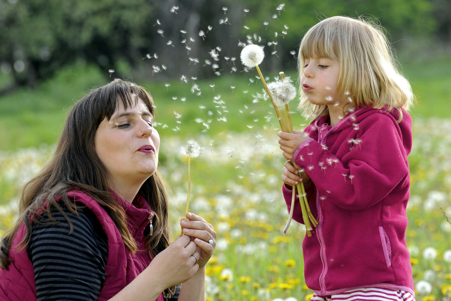 Εποχικές αλλεργίες: Τι βοηθά πραγματικά στη μείωση των συμπτωμάτων