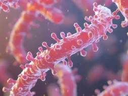 leptospirosis-scaled