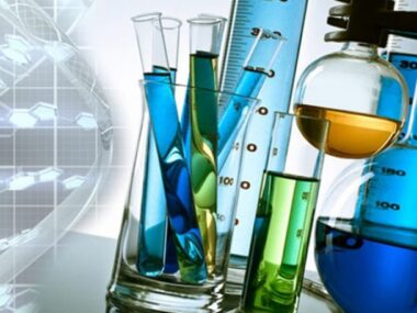 thumb__800_0_0_0_auto (1)