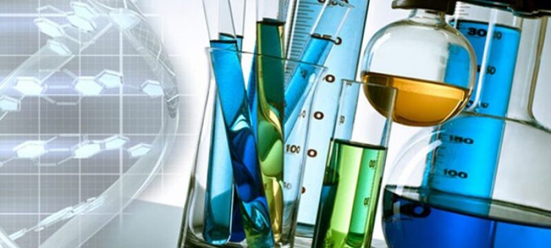 thumb__800_0_0_0_auto (1)