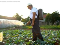 Στιγμιότυπο-οθόνης-1682