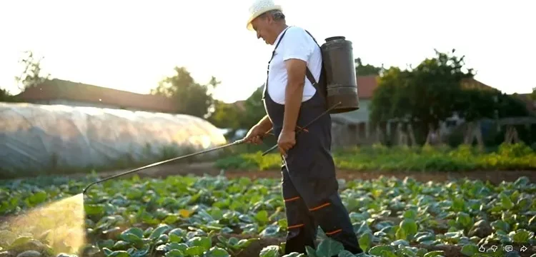 Στιγμιότυπο-οθόνης-1682