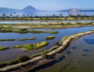 messinia 1