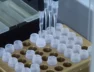 genome
