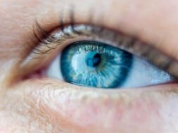 pexels-amnon-barnea-1226764-5683076