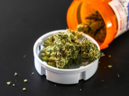 IMG_1441