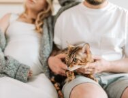 pexels-vlada-karpovich-8359681