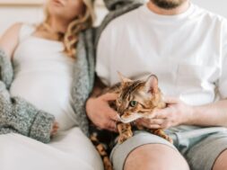 pexels-vlada-karpovich-8359681