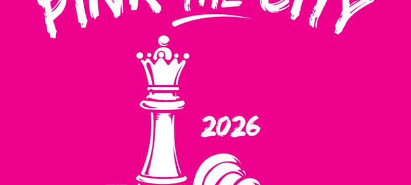 pinkthecity-almazois